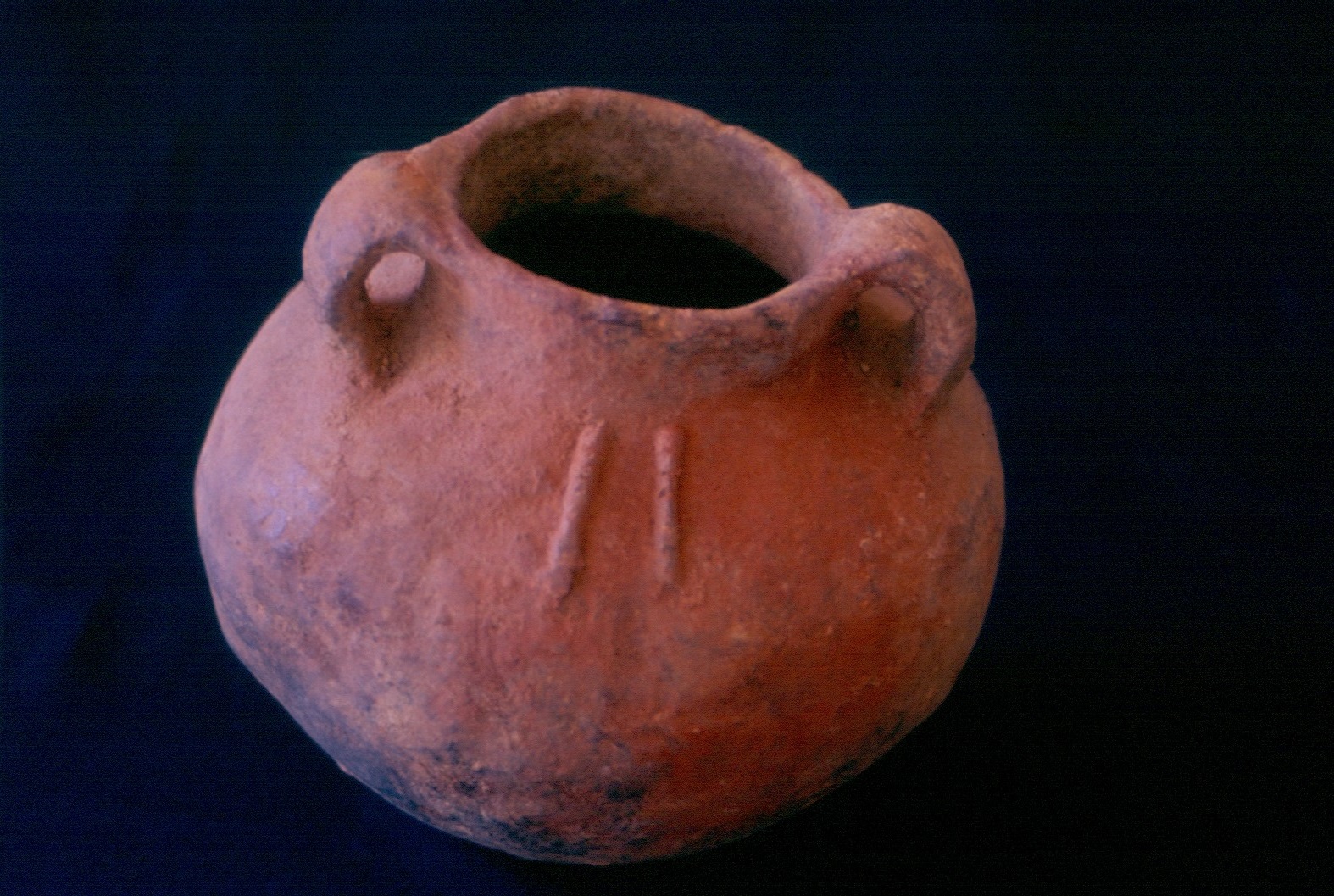 UST.C.801 D.3D.jpg